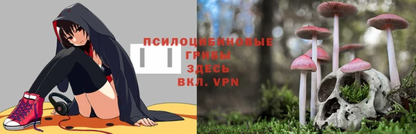 МДПВ Алзамай
