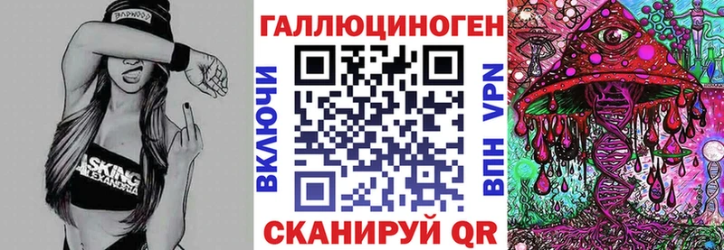 где найти   Салехард  Галлюциногенные грибы Cubensis 