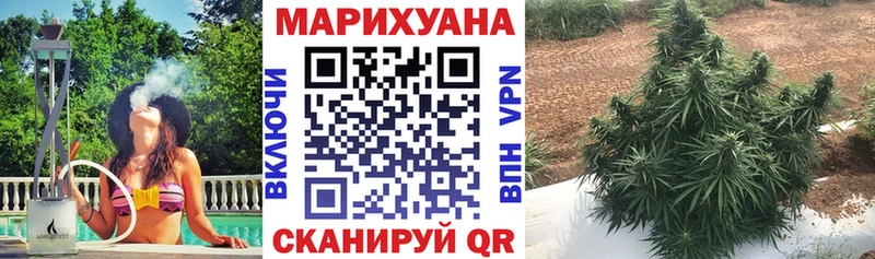 дарнет шоп Салехард Бошки марихуана план